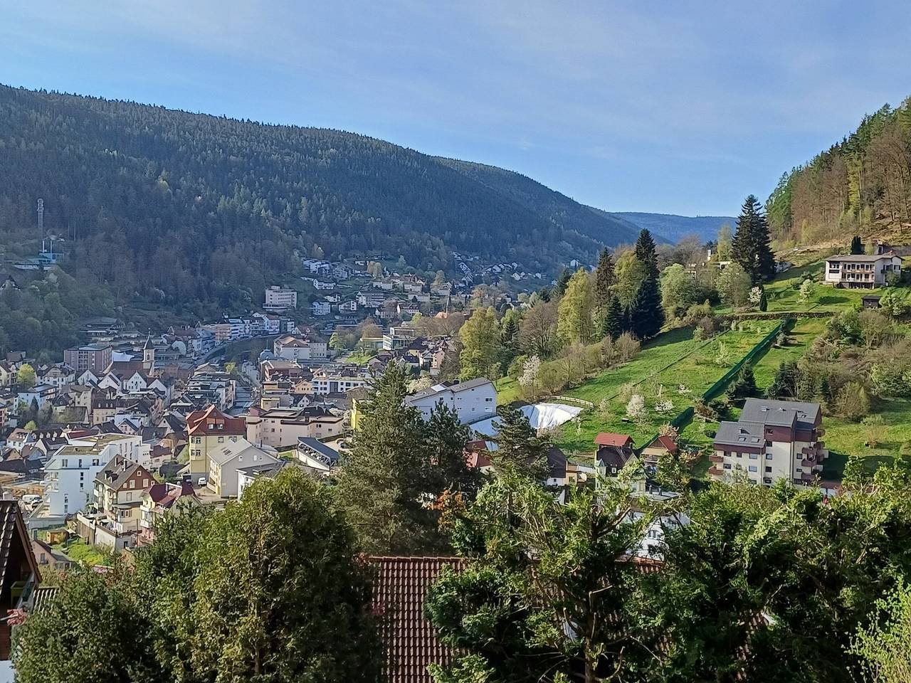 Ganze Wohnung, Ferienwohnung Panoramablick" mit Bergblick, Privatem Garten und Wlan in Bad Wildbad, Nordschwarzwald