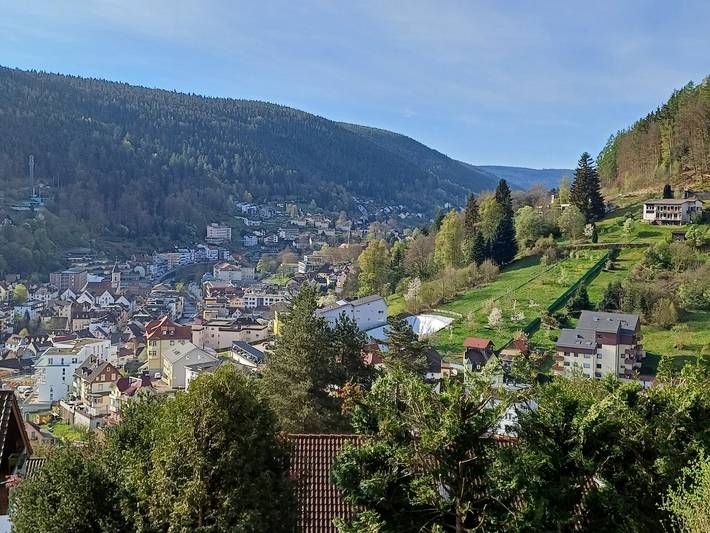 Gîte pour 6 personnes, avec jardin et jacuzzi à Bad Wildbad - 2