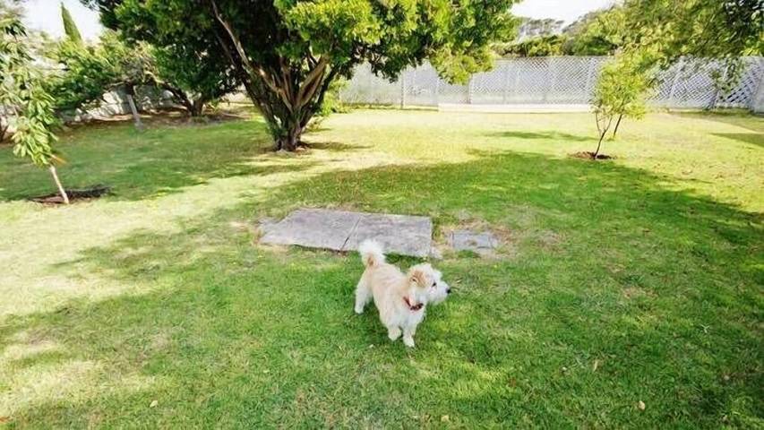 Holiday home for 4 people, with balcony and garden in Robe