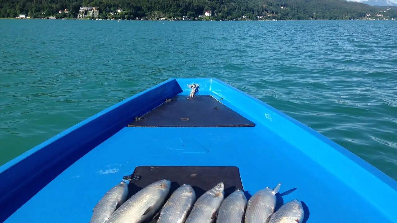 Ganze Ferienwohnung, Ferienwohnung für 4 Personen (30 m²) in Krumpendorf am Wörthersee in Krumpendorf am Wörthersee, Klagenfurt-Land