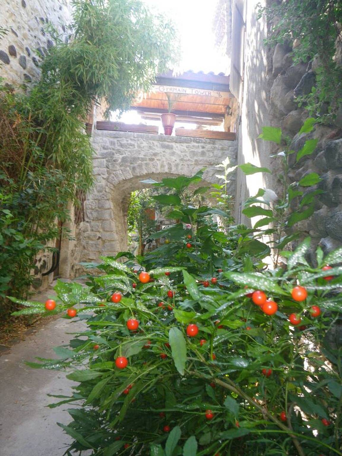 Maison de charme à Saint-Germain avec vue sur la montagne in Saint-Germain, Ardèche