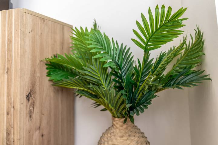 Ganze Wohnung, Apartment für 3 Personen mit Küche & WLAN in Dormagen in Dormagen, Rhein-Kreis Neuss