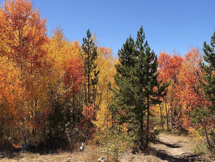 Gîte pour 6 personnes, avec jacuzzi ainsi que piscine et balcon à Granby - 4