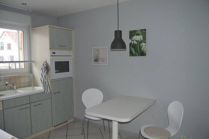 Location de vacances pour 5 personnes, avec vue et terrasse, adapté aux familles à Ungersheim - 4