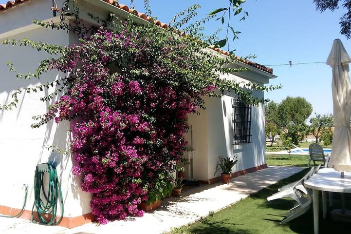 Casa De Campo En Sevilla Con Piscina in Valdezorras, Sevilla