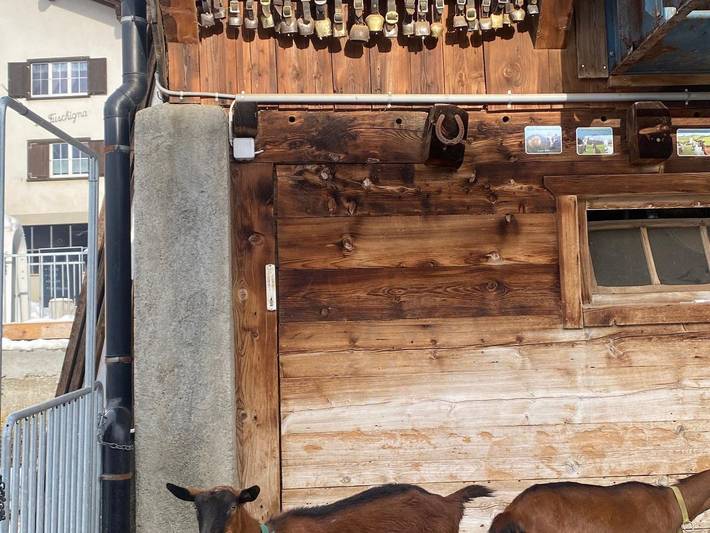 Hütte für 4 Personen, mit Balkon im Engadin - 2