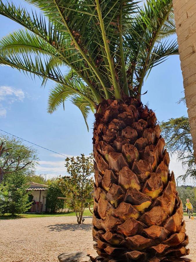 Maison de campagne pour 8 personnes, avec jardin ainsi que vue et piscine à Saint-Julien-de-Peyrolas - 2