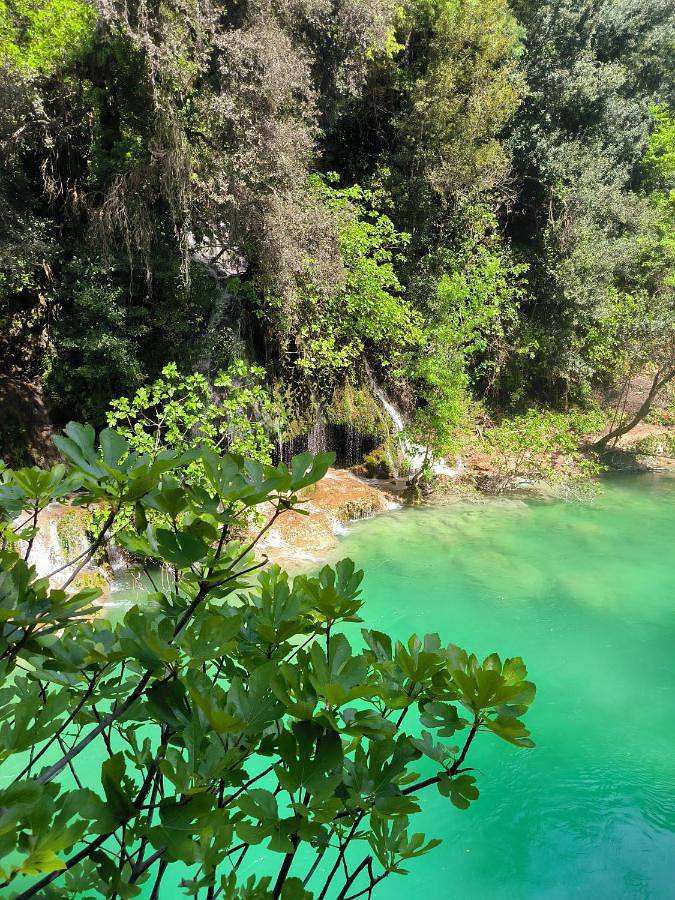Chambre d’hôte pour 2 personnes, avec vue ainsi que jardin et piscine à Fayence - 3