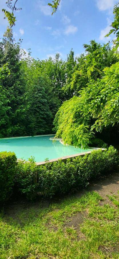 Location de vacances pour 12 personnes, avec jardin ainsi que piscine et vue à Herentals - 3