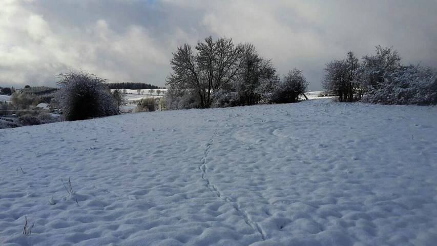 Ferienwohnung für 6 Personen, mit Ausblick und Terrasse in Hellenthal - 4