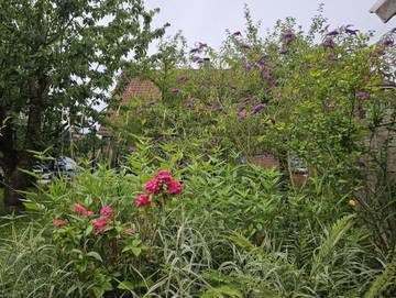 Ferienwohnung für 2 Personen in Hooksiel, Wangerland, Bild 4