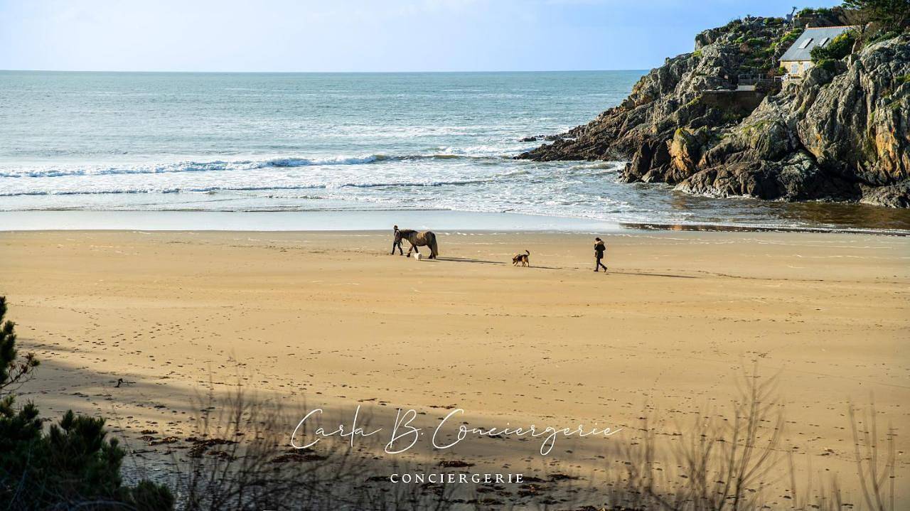 Appartement entier, Le Rospico Appartement pour 4 pers face à la mer La Villa De Rospico Nevez in Rospico, Névez