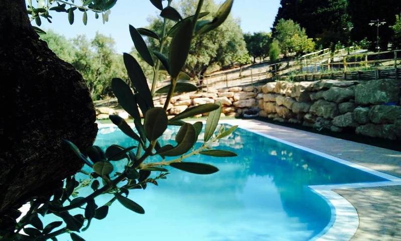 Agriturismo per 3 persone, con giardino e piscina nonché terrazza in Provincia di Catanzaro