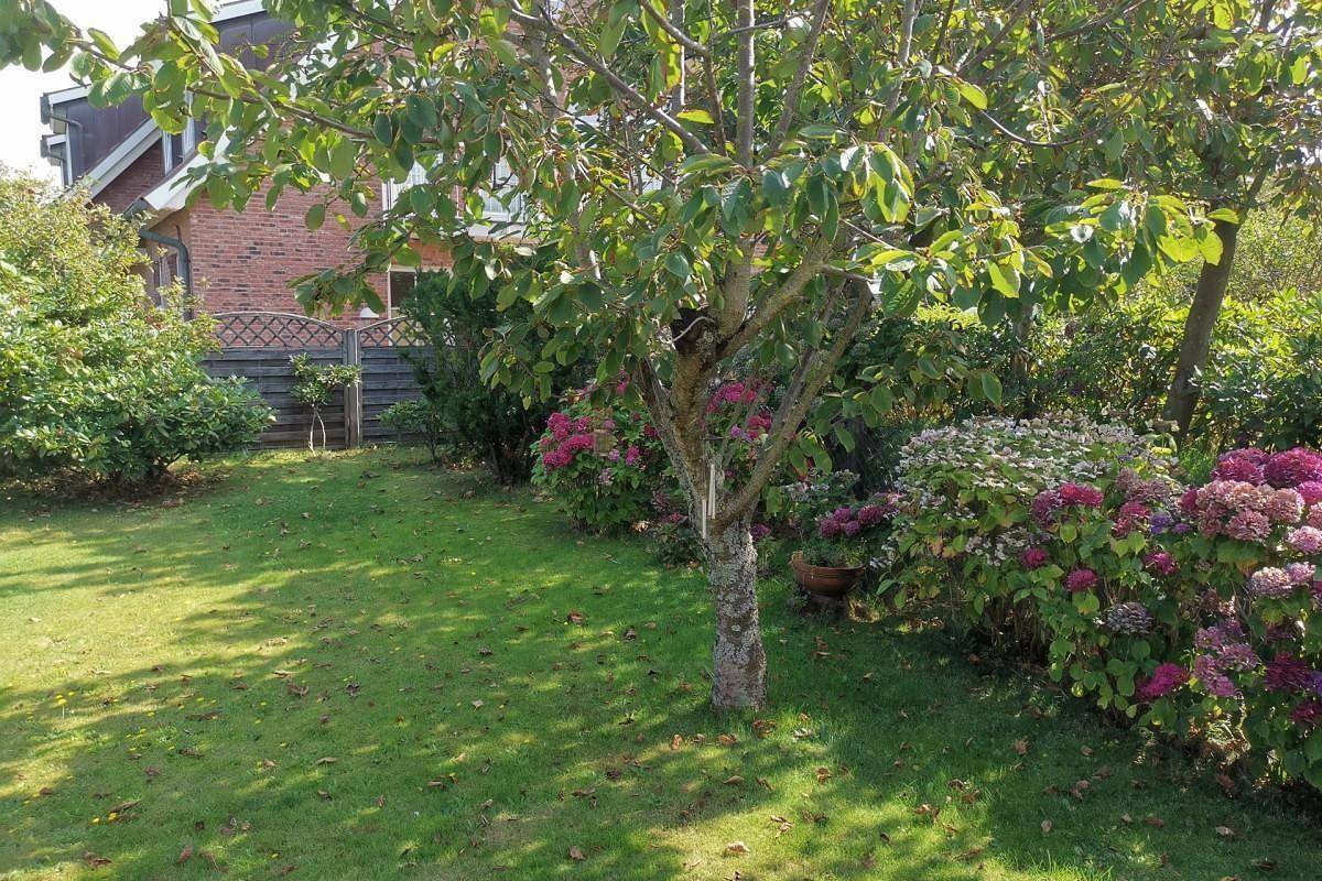 Ganze Ferienwohnung, Haus Carsten in Westerland, Sylt (Gemeinde)