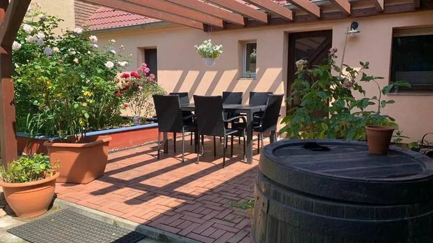 Ferienhaus für 8 Personen, mit Terrasse und Garten, mit Haustier im Lausitzer Seenland - 2