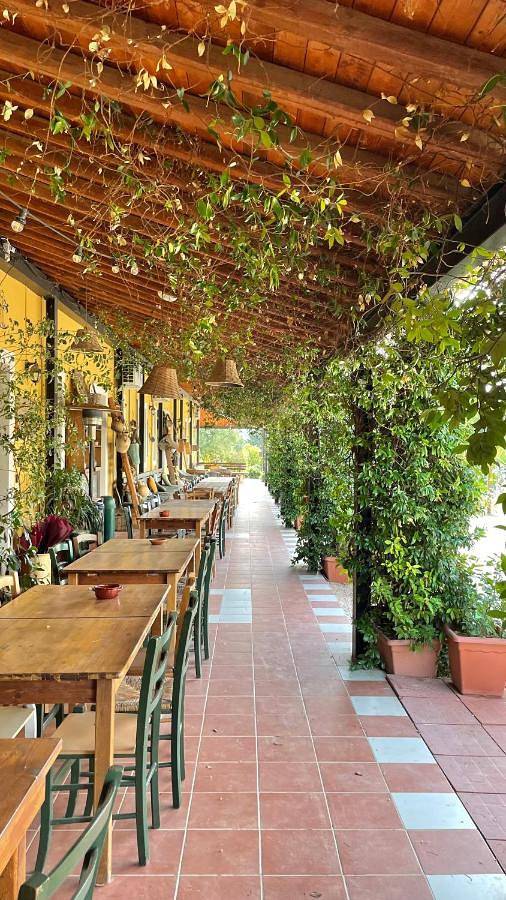 Privatzimmer für 3 Personen, mit Terrasse und Whirlpool sowie Garten und Sauna