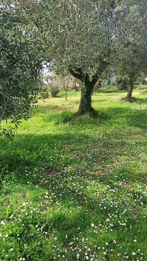 Appartamento intero, La nostra casetta in Albano Laziale, Provincia di Roma