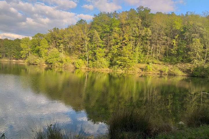 Location de vacances pour 10 personnes, avec Terrasse ainsi que Jardin et Piscine à Lafrançaise