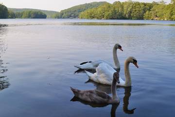 Lake House for 4 Guests in Connecticut, USA, Picture 4