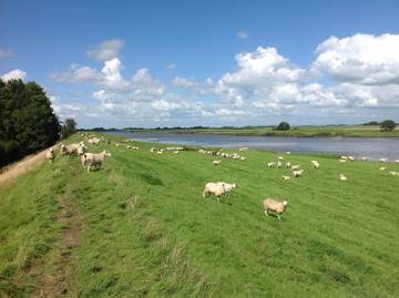 Ferienwohnung für 4 Personen in Oldenswort, Halbinsel Eiderstedt, Bild 4