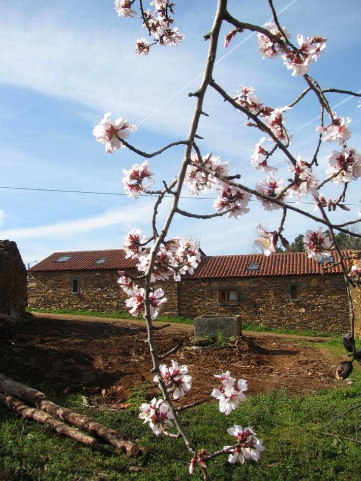 Casa rural para 3 personas, con Terraza además de Jardín y Vistas en Bermellar