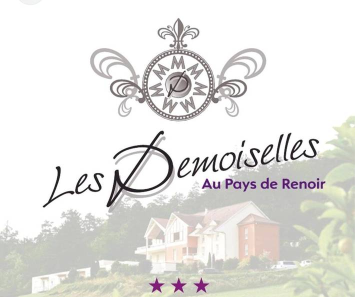 Hôtel pour 2 personnes, avec Balcon et Terrasse ainsi que Jardin et Piscine à Essoyes - 3