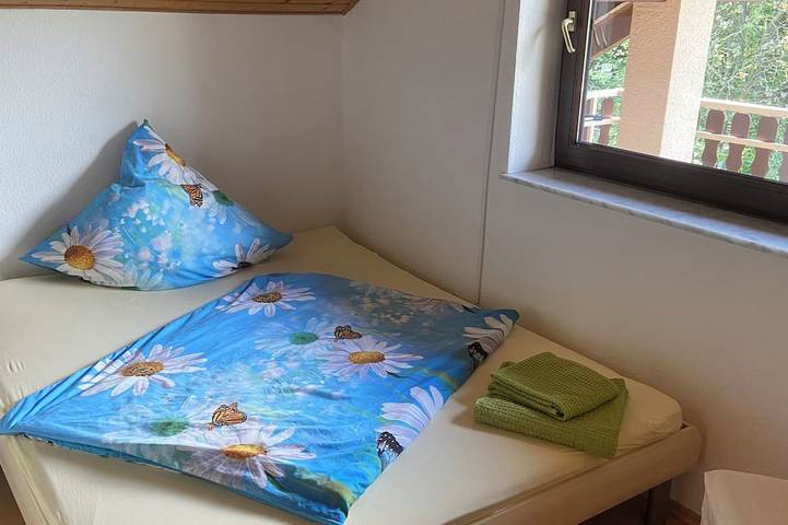 Ferienhaus für 12 Personen, mit Garten, mit Haustier in Bad Neuenahr - 4