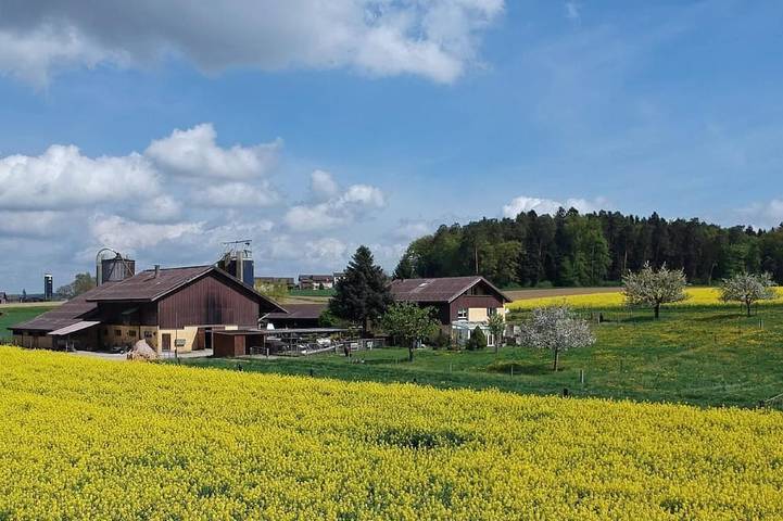 Agriturismo für 5 Personen, mit Garten in Kanton Zürich