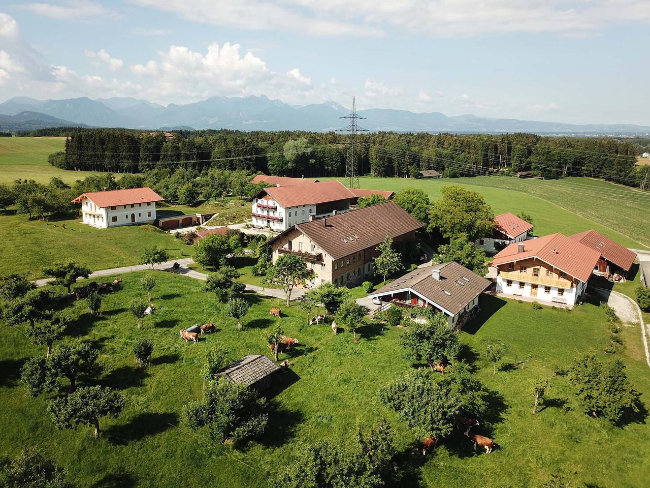 Gschwingerhof - Appartement Hochries, 51 qm Obergeschoss, 1 separates Schlafzimmer in Riedering, Landkreis Rosenheim