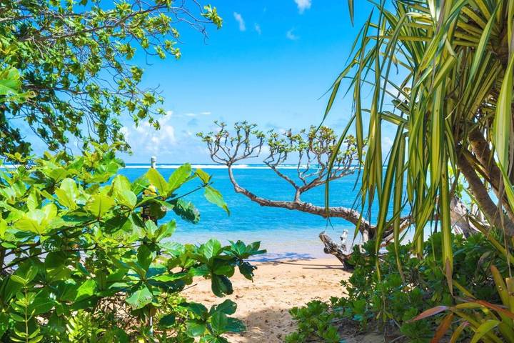 Ferienhaus für 4 Personen, mit Terrasse und Ausblick auf Kauai