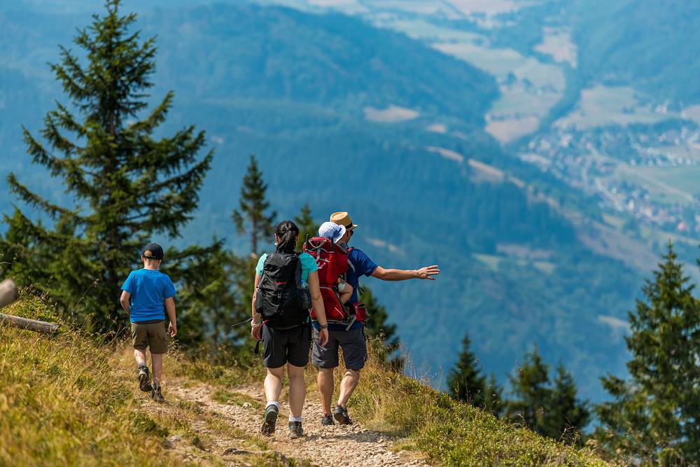 Apartamento vacacional entero, Apartamento de vacaciones para 6 personas con sauna in Lago Schluch, Suedlicher Schwarzwald