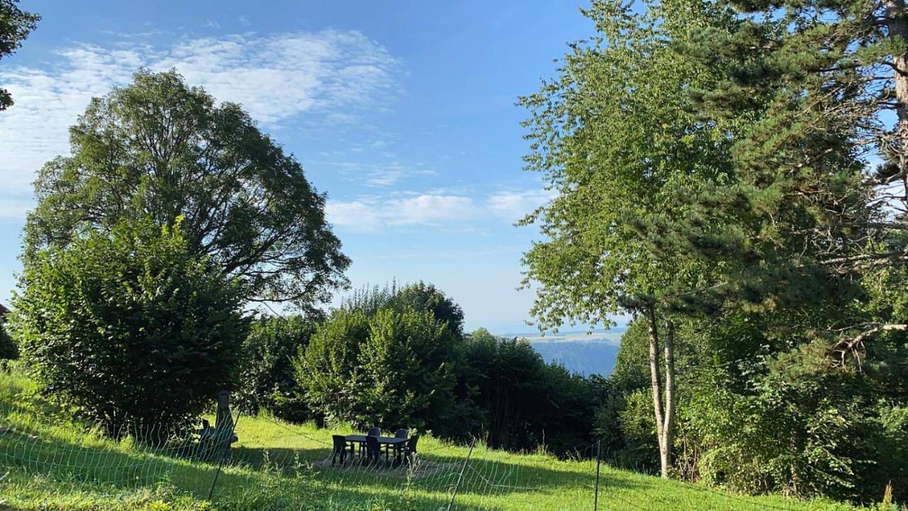 Ganze Wohnung, Schwarzwald Landhaus Leonore mit Alpenblick, Erdgeschosswohnung mit großer Gartenterrasse und Parkplatz in Ühlingen-Birkendorf, Südschwarzwald