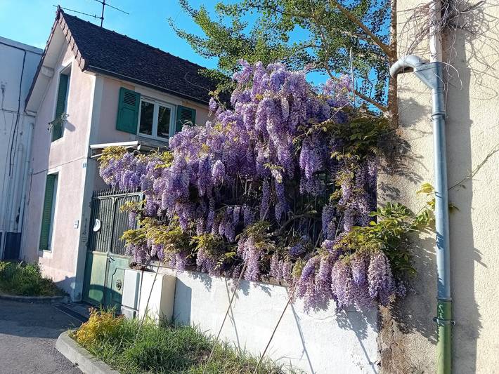 Chambre d’hôte pour 2 personnes, avec jardin dans Saône-et-Loire