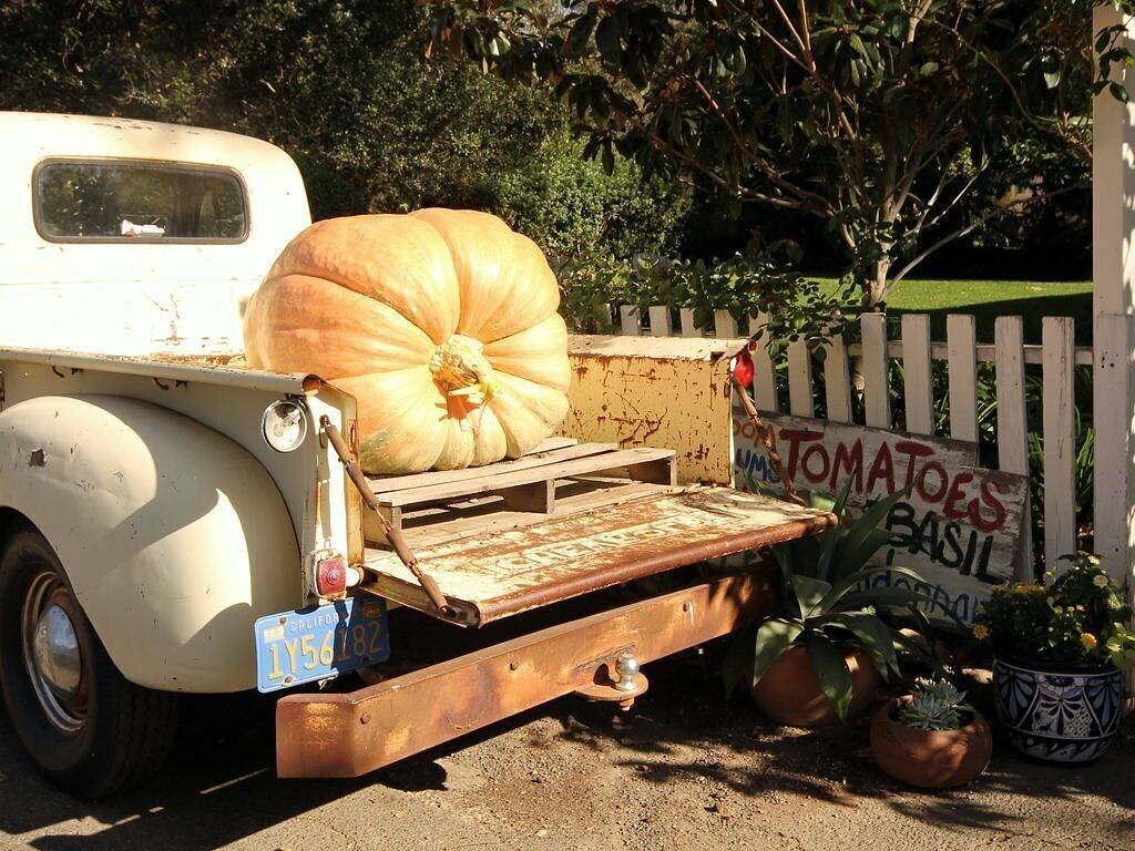 Bungalow an Sonomas historischem Platz! in Sonoma, California North Coast