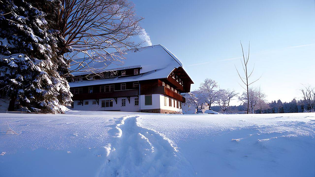 Ganze Ferienwohnung, Ferienwohnung für 2 Personen (32 m²) in Hinterzarten in Suedlicher Schwarzwald, Hinterzarten
