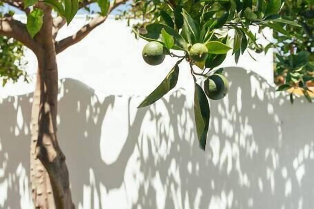 Appartamento intero, Casa Lola - House N3 in Zahora in Playa del Faro de Trafalgar, Barbate