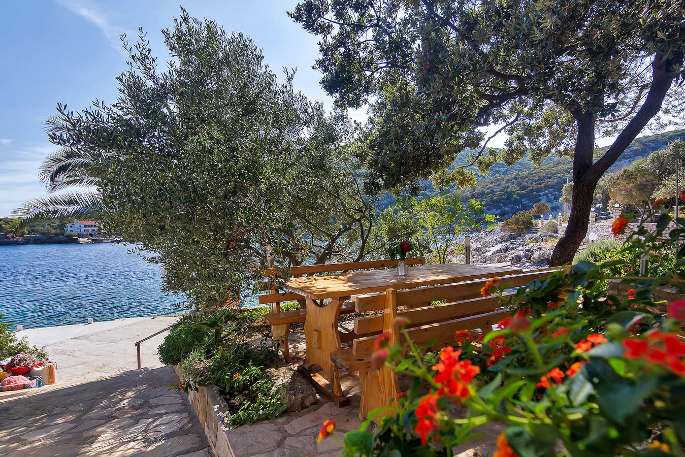 House Sea rose in Hvar