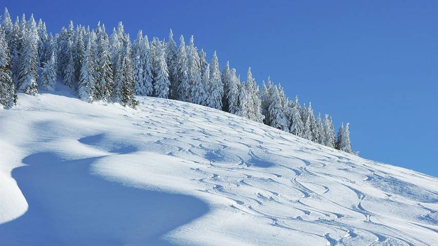 Chalet für 9 Personen, mit Terrasse in Hinterglemm - 2