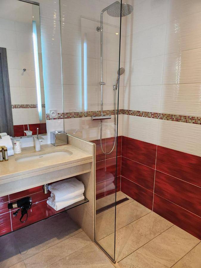 Hôtel pour 2 personnes, avec jacuzzi et jardin ainsi que piscine et sauna, animaux acceptés à Saint-Priest - 3