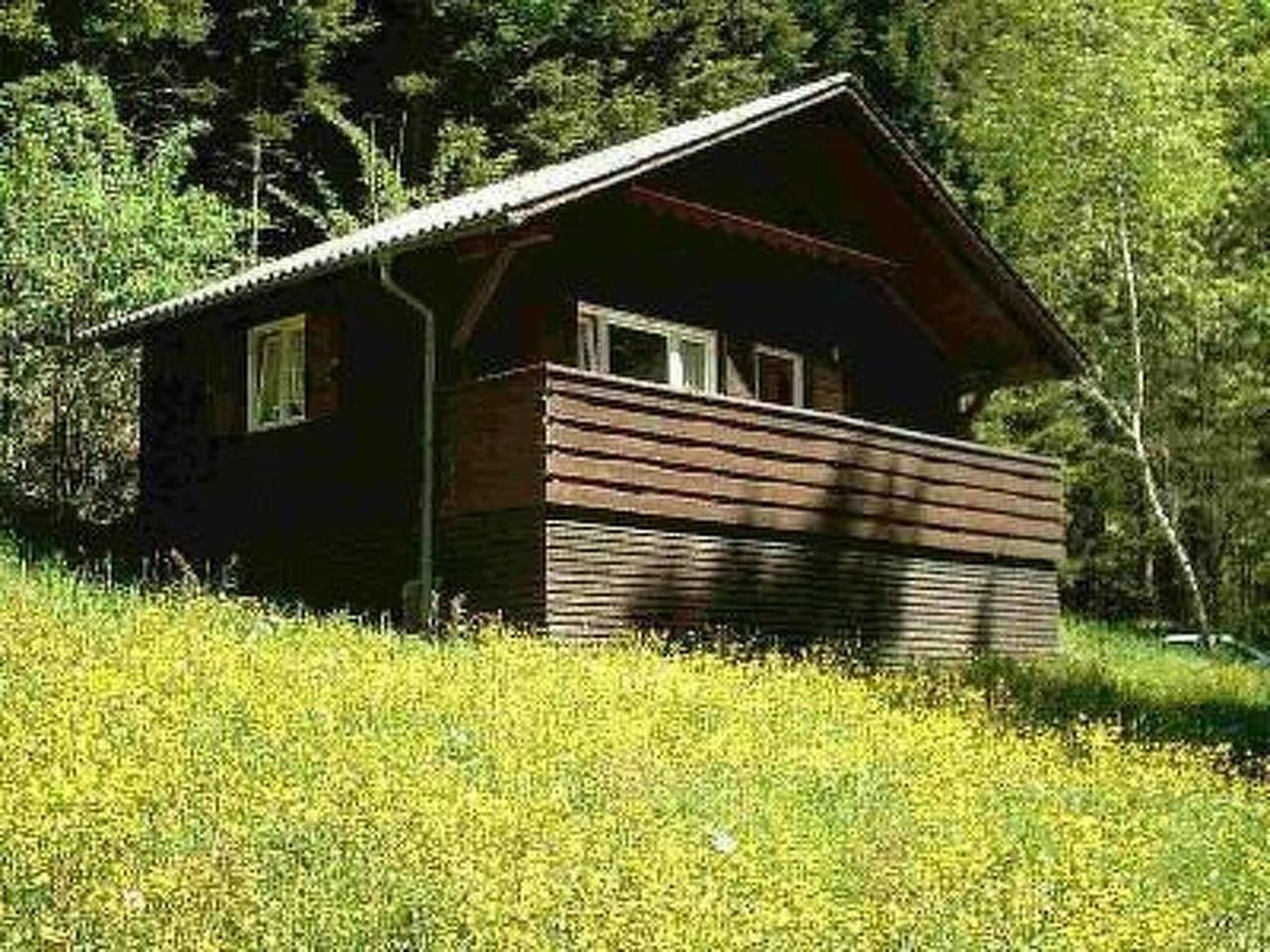 Arthurhütte in Hohenweiler in Hohenweiler, Bregenz & Umgebung
