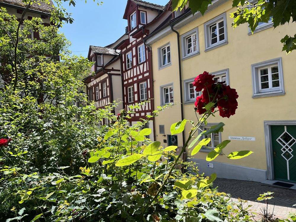 Entire holiday apartment, Mainaublick-Traumseesicht mit Terrasse - Mainaublick in Meersburg, Region Bodensee-Oberschwaben