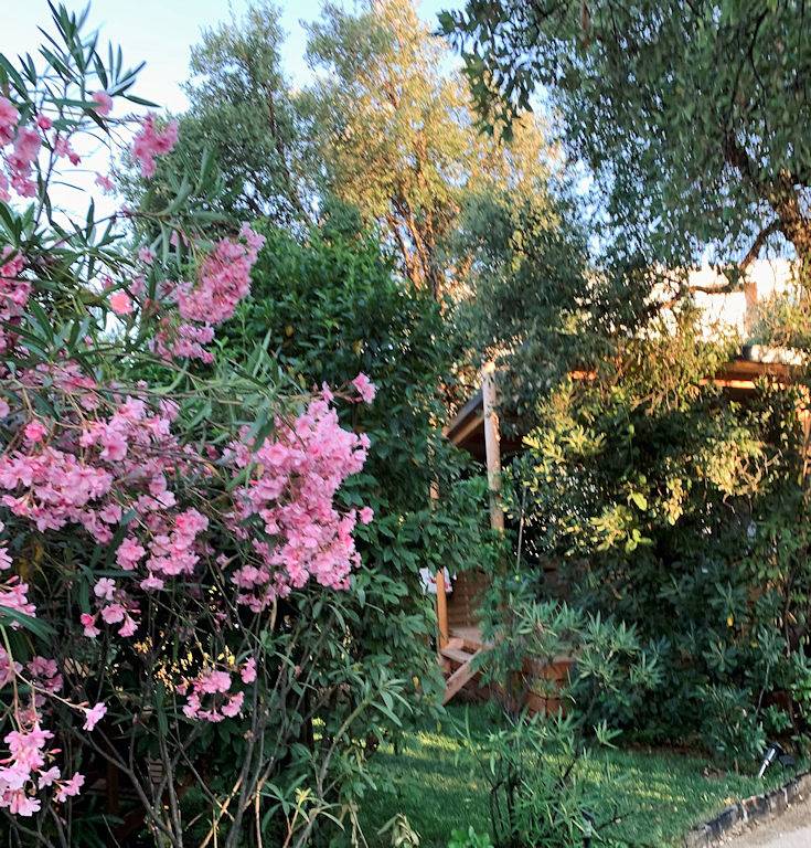 Tiny House : logement insolite sous le soleil varois in La Londe-les-Maures, Région de Toulon