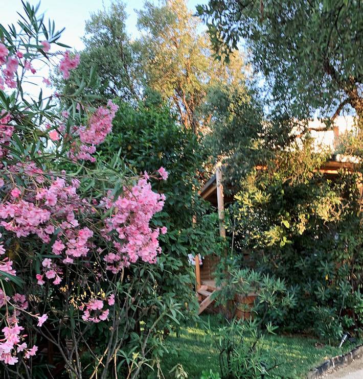 Gîte pour 4 personnes, avec jardin à La Londe-les-Maures - 2