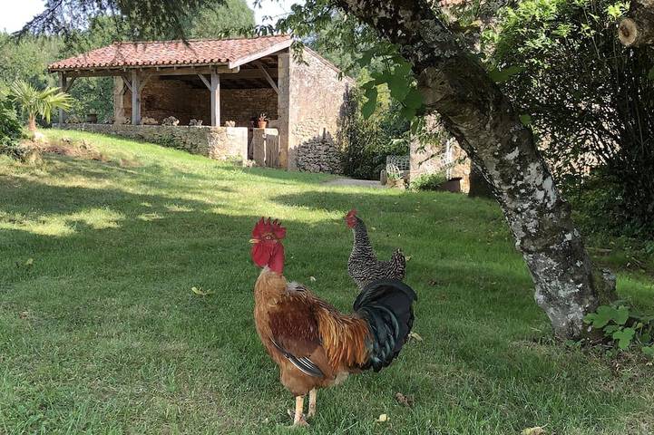 Location de vacances pour 4 personnes, avec Terrasse et Jardin à Cuzorn
