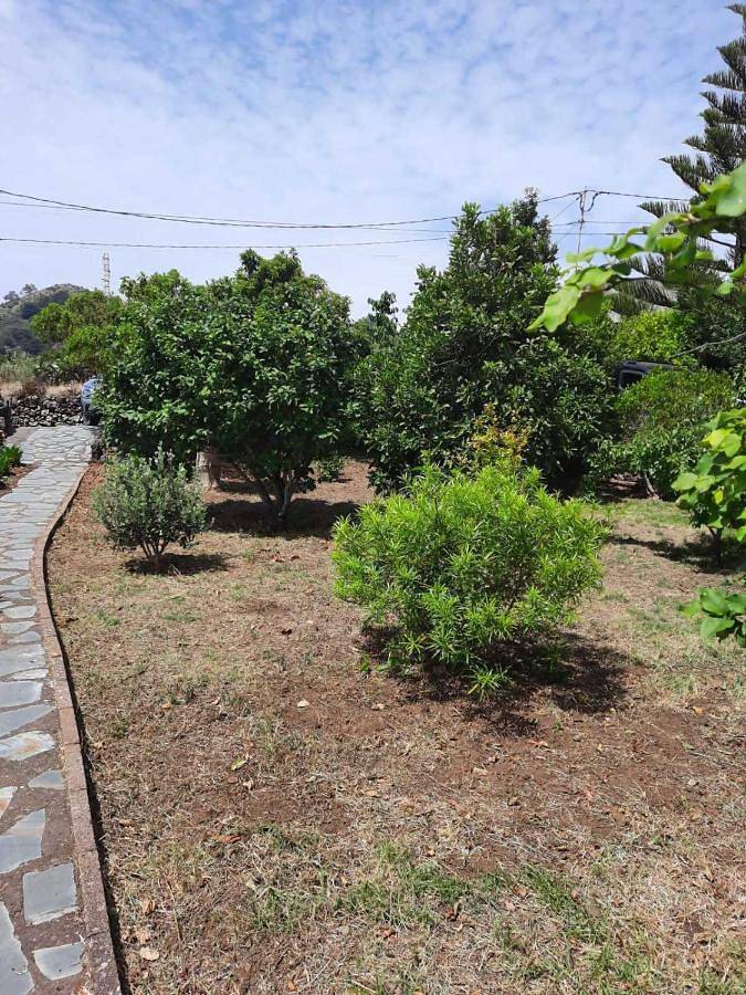 Casa rural para 4 personas, con terraza y jardín en Valverde - 2