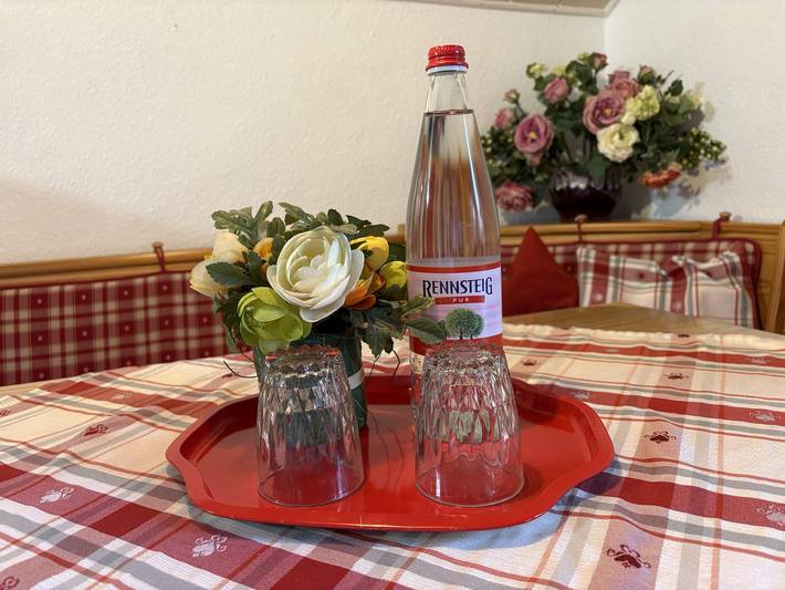 Ferienwohnung für 5 Personen, mit Balkon/Terrasse und Terrasse sowie Garten in Wartburg - 4