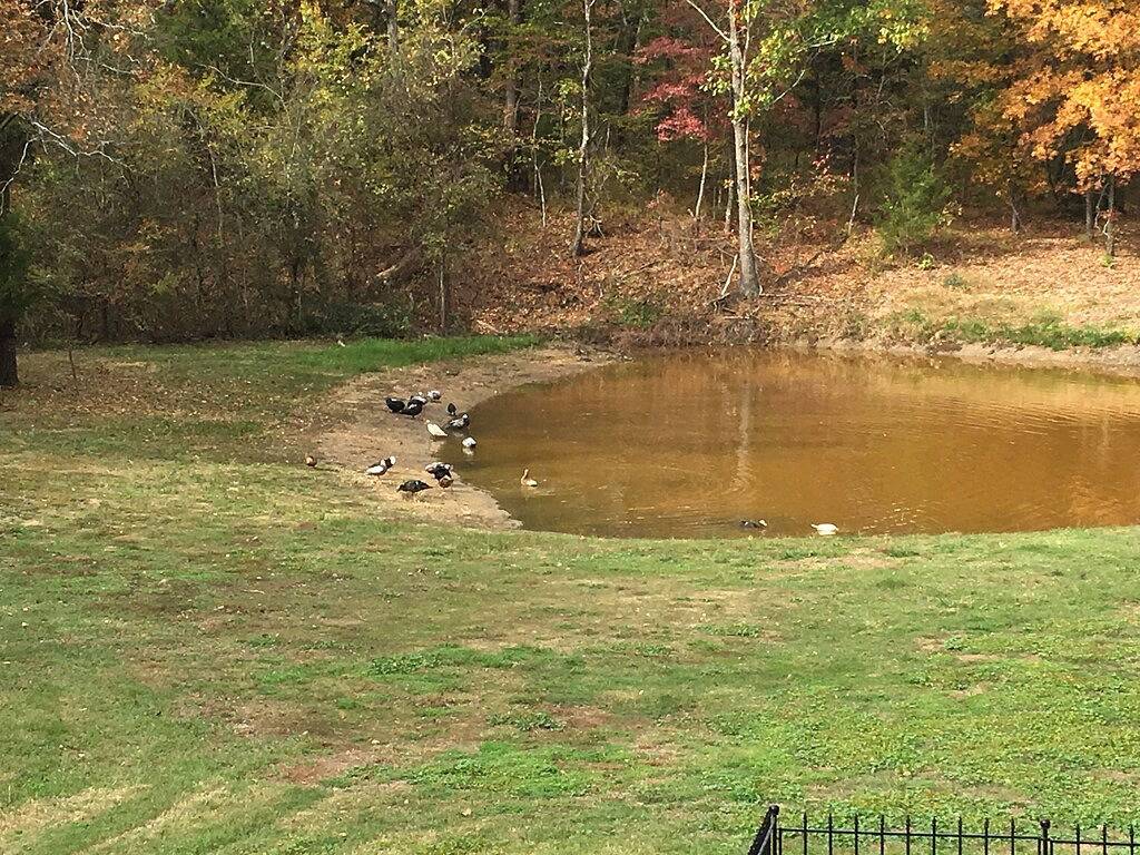 🏆 🏆 🏆 Ig P P P Op V V V V V V V V V V V P P P P P P P P P P P P in Van Zandt County