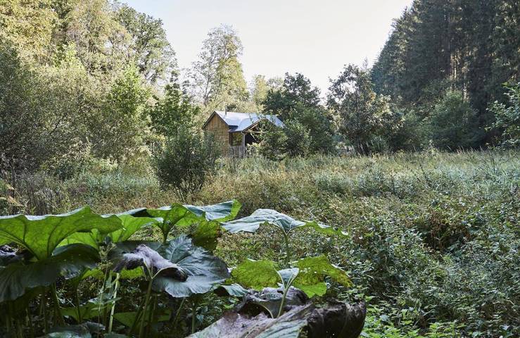 Gîte pour 2 personnes, avec jardin ainsi que terrasse et vue dans Tavigny - 4
