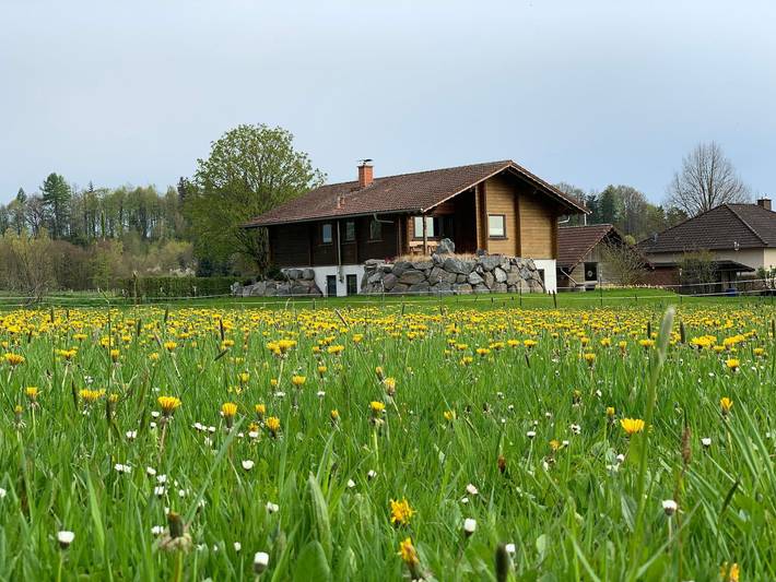 Ferienwohnung für 4 Personen, mit Balkon und Terrasse sowie Garten und Sauna in Walkenried - 3