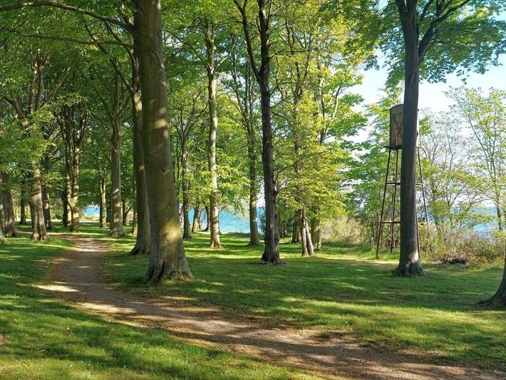 Ferienhaus für 8 Personen, mit Garten in Lolland - 3